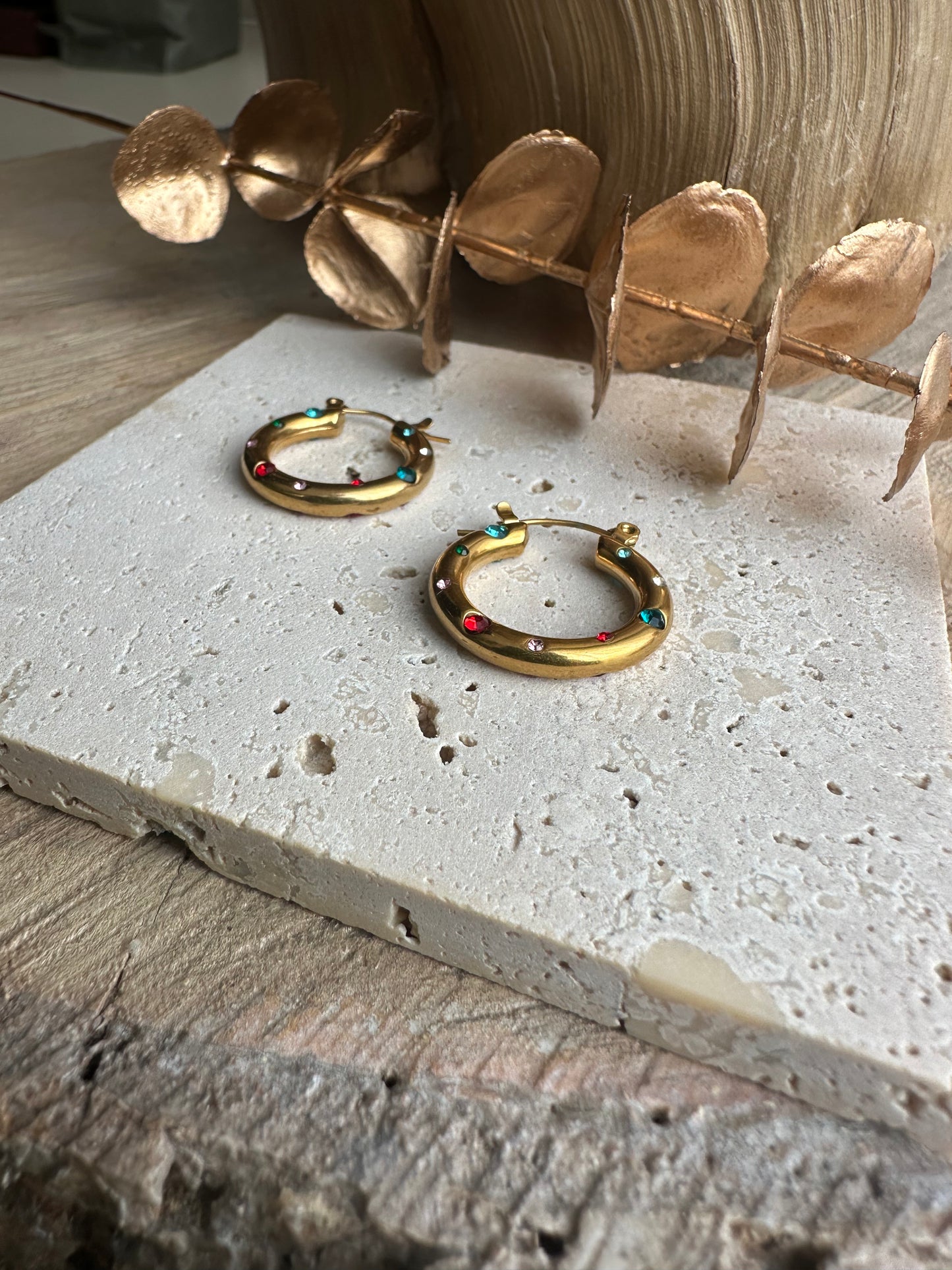 ZENIA || Colorful Zirconia Hoops